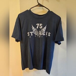 Men's size Large Sturgis tee 2015. Has so wear and a hole (see last photo.)